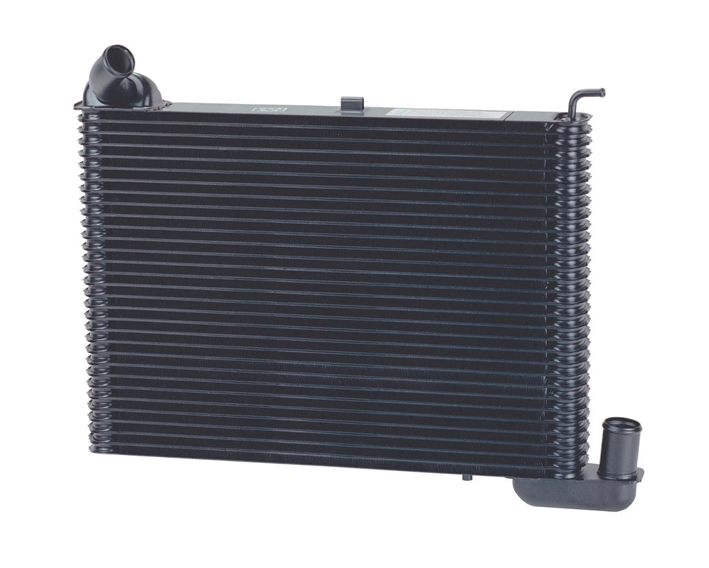 1965 396 Early Restoration Radiator